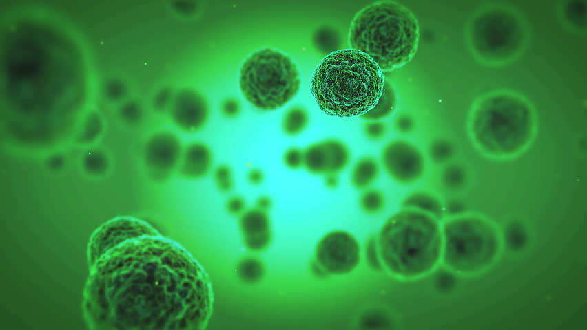 Bacteria Virus or Germs Microorganism Stock Footage Video (100% Royalty