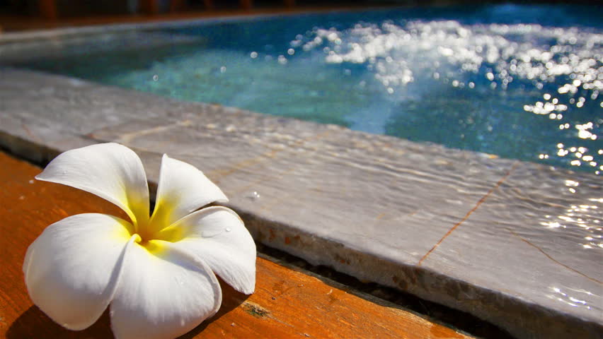 Релакс Видео Цветы